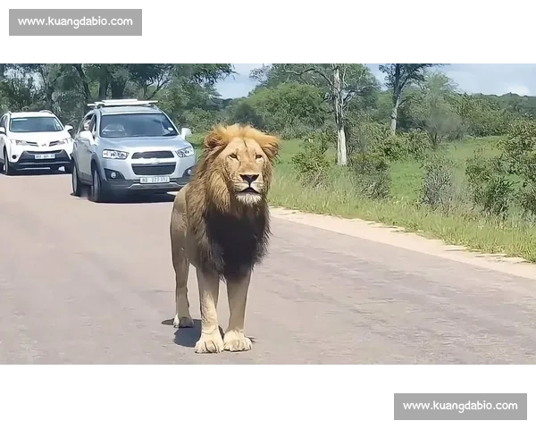 索罗・西科亚加冕全美冠军:实力碾压,何须 “YEET” 狂欢?